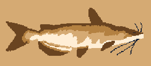 WEBFISHING Freshwater Fish Catfish